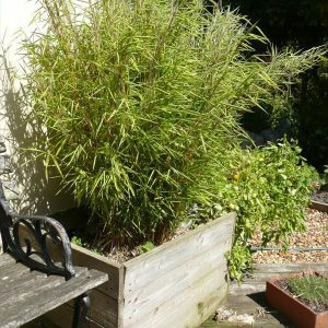 recycled pallet planter