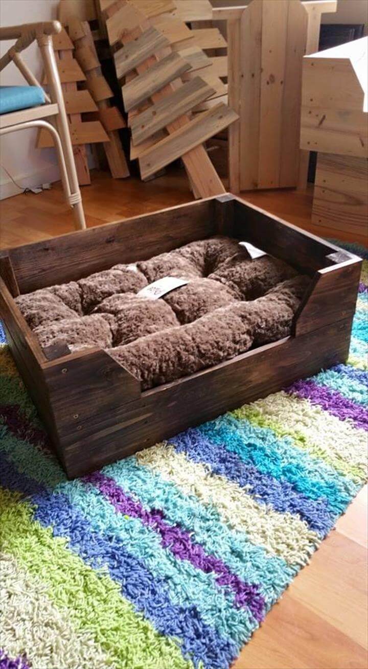 dog bed made from pallets