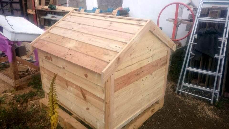 Wooden pallet dog house