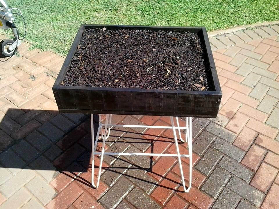 pallet succulent planter