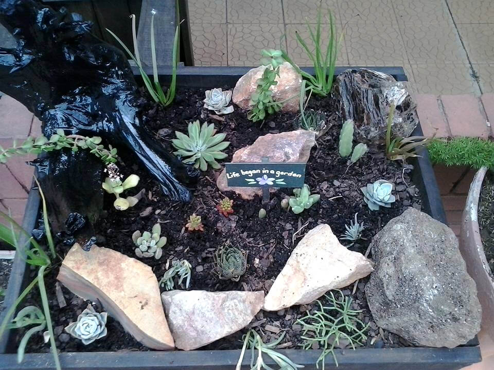 diy pallet succulent planter
