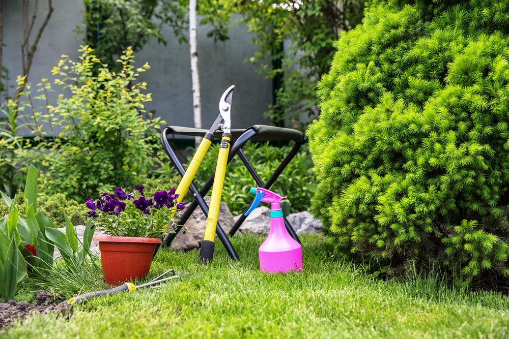 8 Must Have Tools For Undertaking DIY Gardening Project