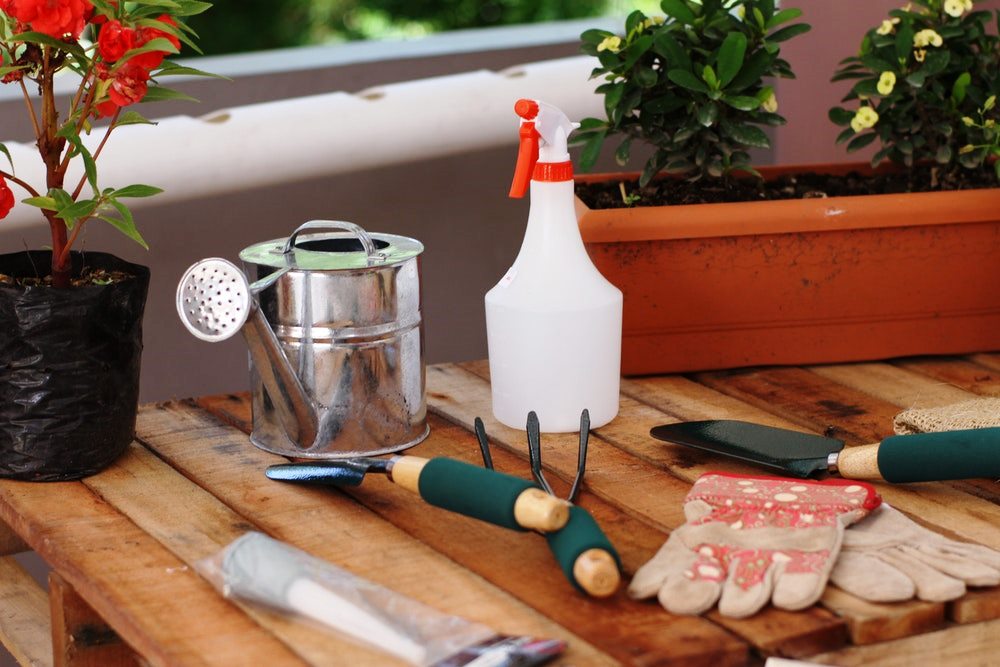 Must Have Tools For Undertaking DIY Gardening Project