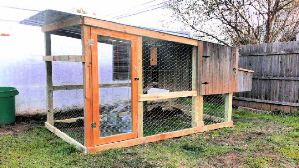 27 Free DIY Chicken Coop Plans That Beginners Can Build