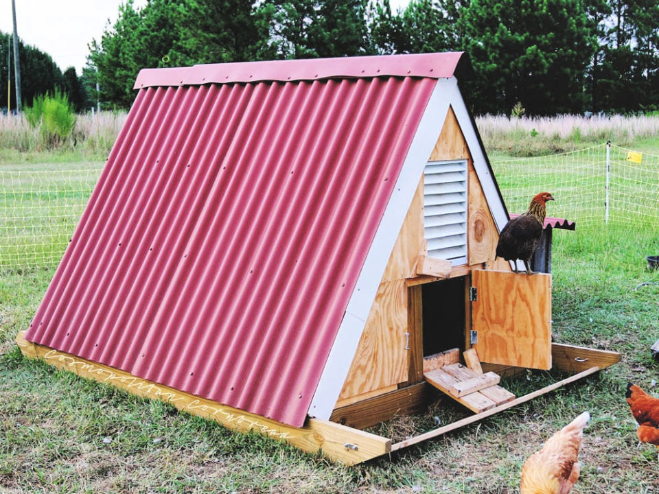 27 Free DIY Chicken Coop Plans That Beginners Can Build